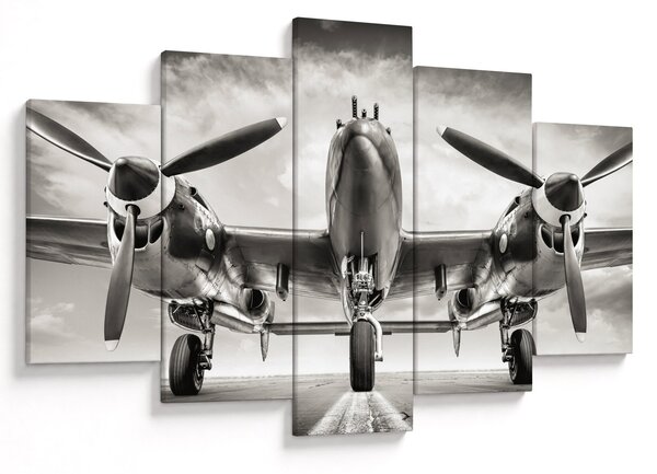 Slika - Warbird (150x105 cm)