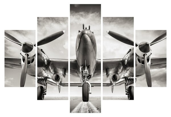 Slika - Warbird (150x105 cm)
