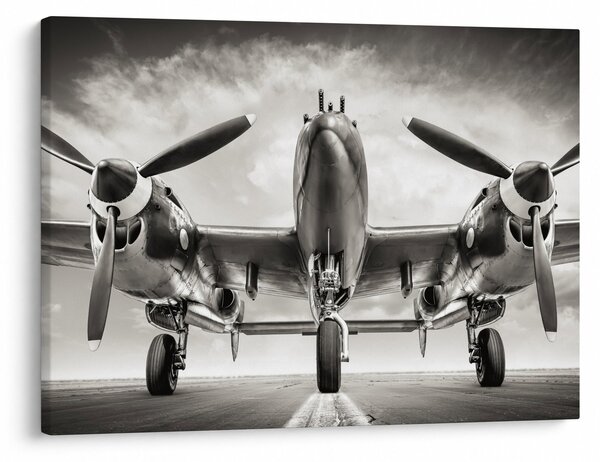 Slika - Warbird (70x50 cm)
