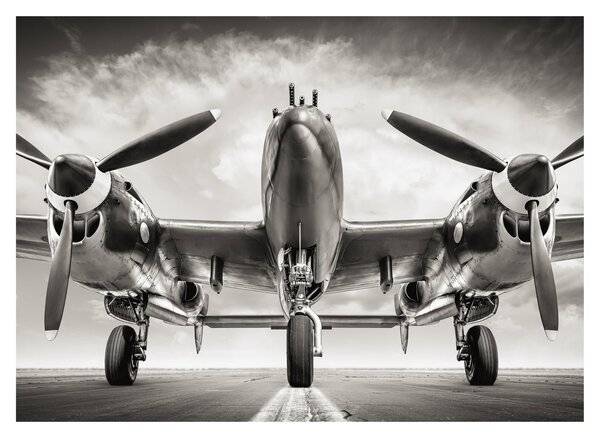 Slika - Warbird (70x50 cm)