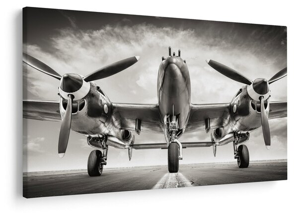 Slika - Warbird (90x60 cm)