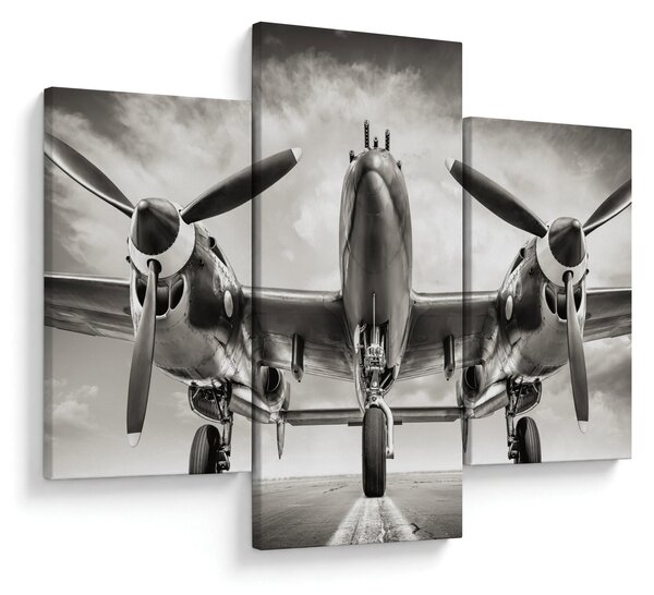 Slika - Warbird (90x60 cm)