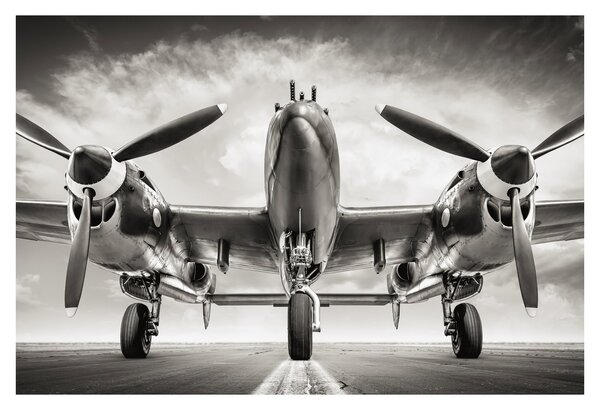 Slika - Warbird (90x60 cm)