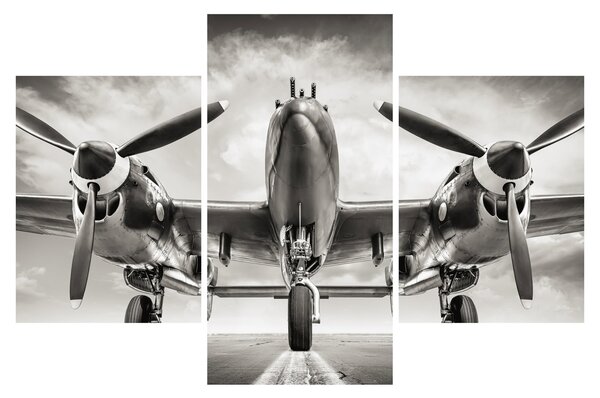 Slika - Warbird (90x60 cm)