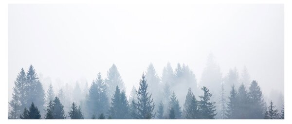 Slika - Maglovita šuma (120x50 cm)