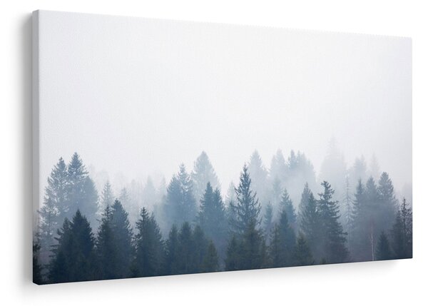 Slika - Maglovita šuma (90x60 cm)