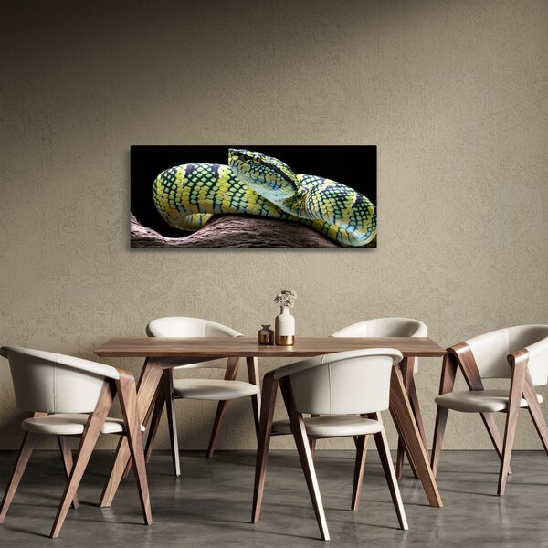 Slika - Waglerova čegrtuša (120x50 cm)