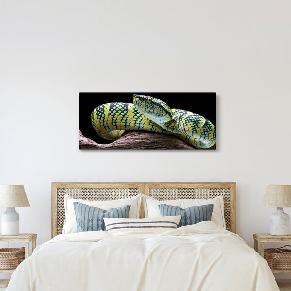 Slika - Waglerova čegrtuša (120x50 cm)