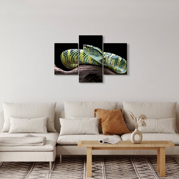 Slika - Waglerova čegrtuša (90x60 cm)