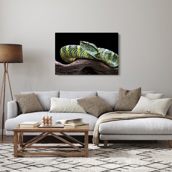 Slika - Waglerova čegrtuša (90x60 cm)