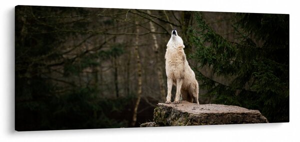 Slika - Zavijanje vuka (120x50 cm)