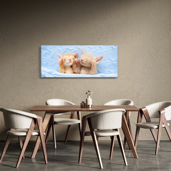 Slika - Mačići koji spavaju (120x50 cm)