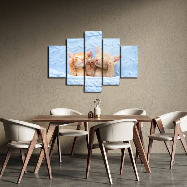 Slika - Mačići koji spavaju (150x105 cm)