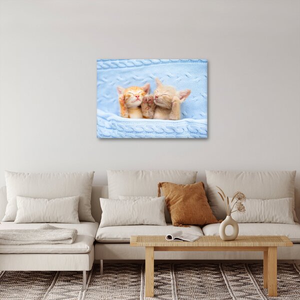Slika - Mačići koji spavaju (70x50 cm)