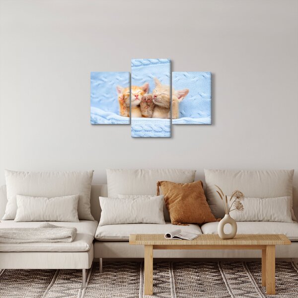 Slika - Mačići koji spavaju (90x60 cm)
