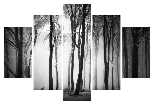 Slika - Vuk u mračnoj šumi (150x105 cm)