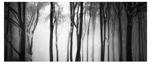 Slika - Vuk u mračnoj šumi (120x50 cm)