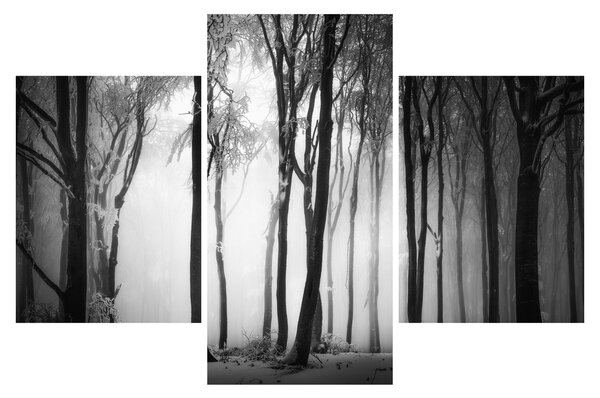 Slika - Vuk u mračnoj šumi (90x60 cm)