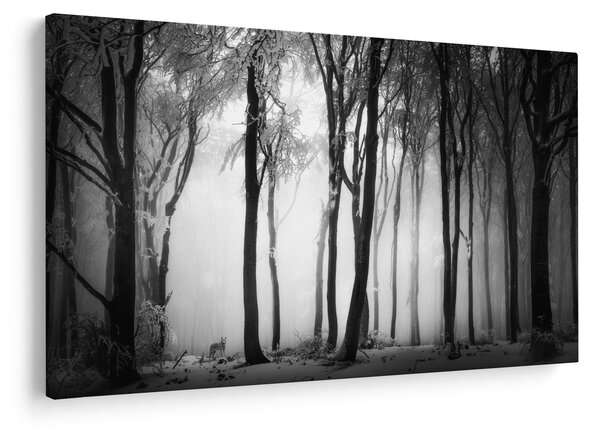 Slika - Vuk u mračnoj šumi (90x60 cm)