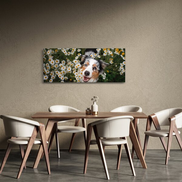 Slika - Australski ovčar (120x50 cm)
