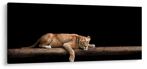 Slika - Lavica (120x50 cm)