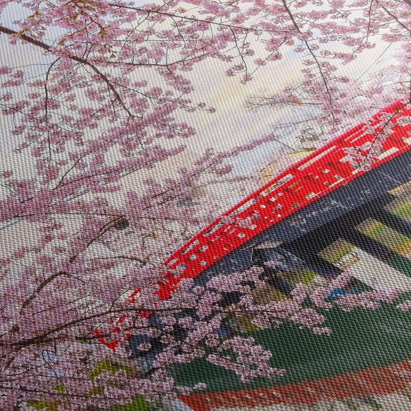 Slika - Hirosaki, Japan (90x60 cm)
