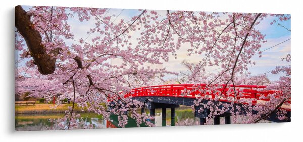Slika - Hirosaki, Japan (120x50 cm)