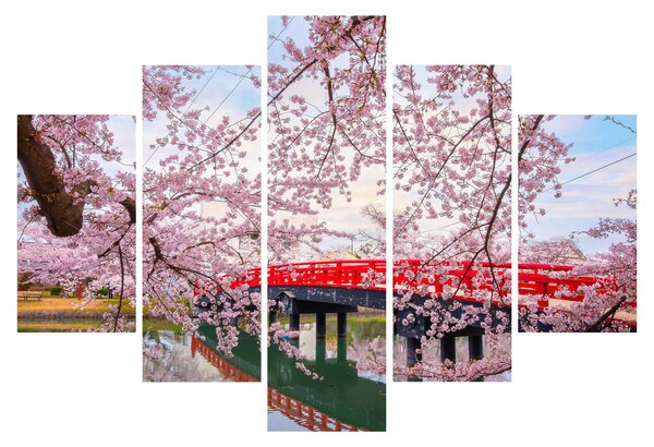 Slika - Hirosaki, Japan (150x105 cm)