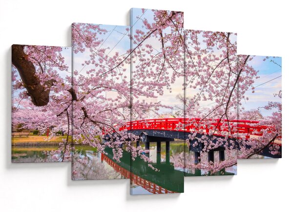 Slika - Hirosaki, Japan (150x105 cm)