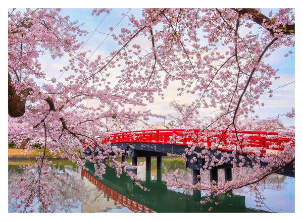 Slika - Hirosaki, Japan (70x50 cm)