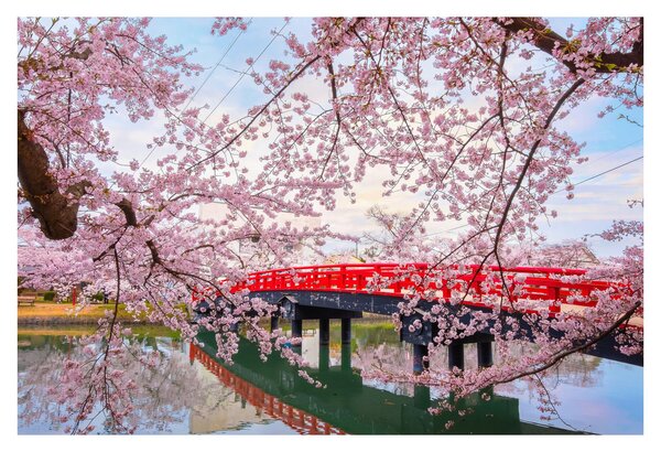 Slika - Hirosaki, Japan (90x60 cm)
