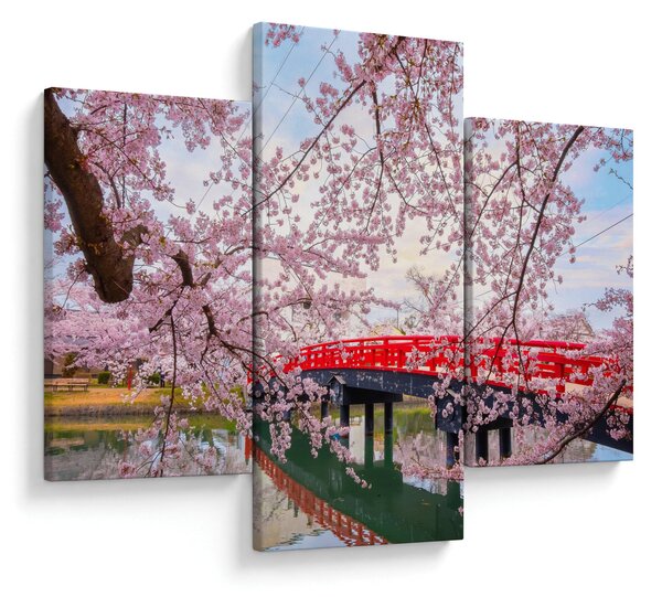 Slika - Hirosaki, Japan (90x60 cm)