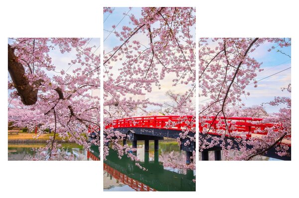 Slika - Hirosaki, Japan (90x60 cm)