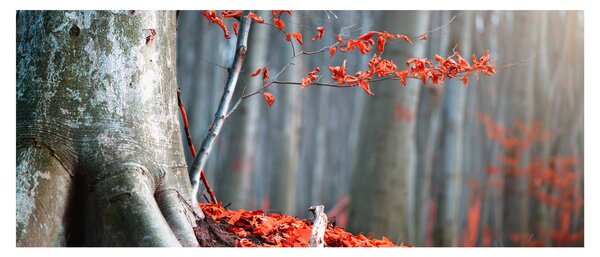 Slika - Jesen (120x50 cm)