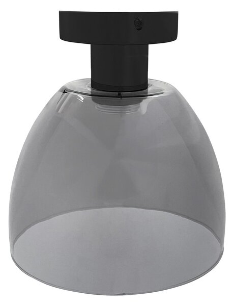 Stropni luster APP1303-1C Black