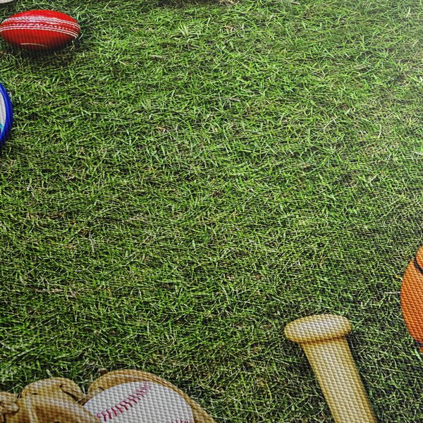 Slika - Sport (150x105 cm)