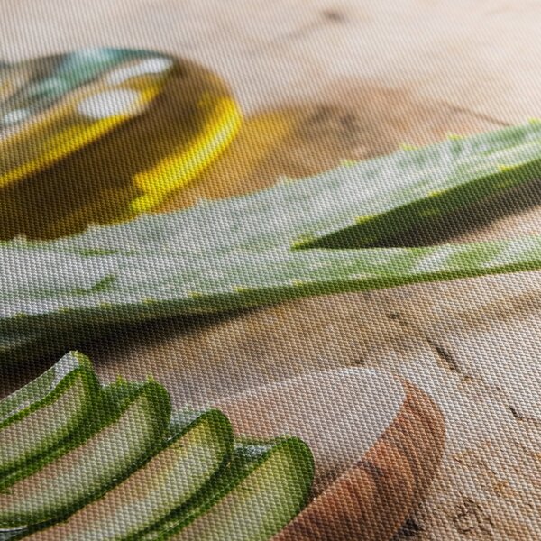 Slika - Aloe vera (90x60 cm)