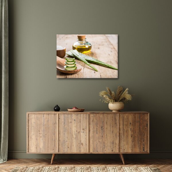 Slika - Aloe vera (70x50 cm)
