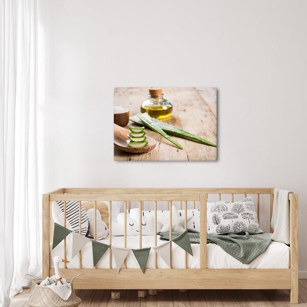 Slika - Aloe vera (70x50 cm)