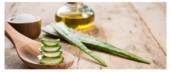 Slika - Aloe vera (120x50 cm)