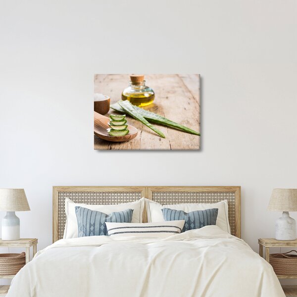 Slika - Aloe vera (70x50 cm)