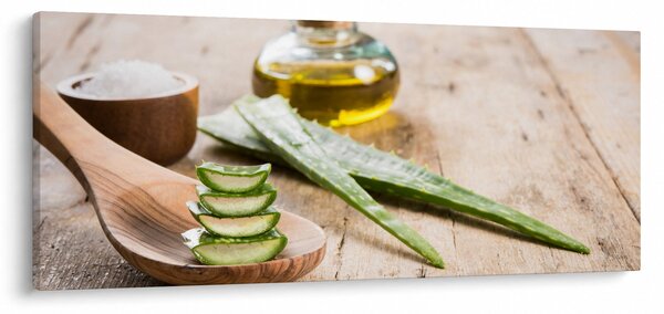 Slika - Aloe vera (120x50 cm)