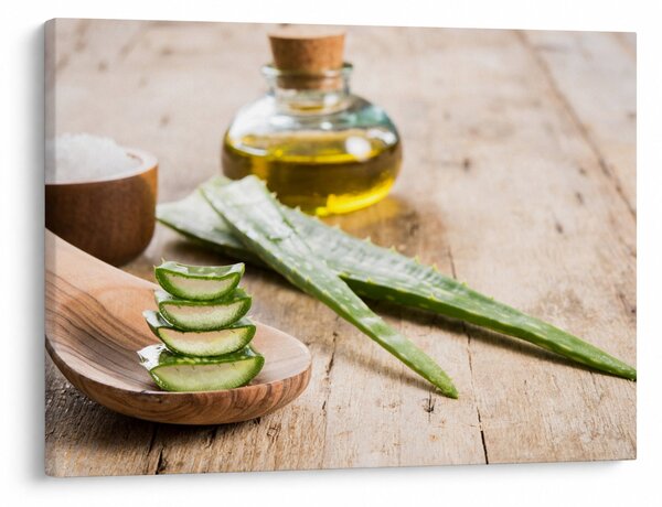Slika - Aloe vera (70x50 cm)