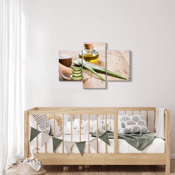 Slika - Aloe vera (90x60 cm)