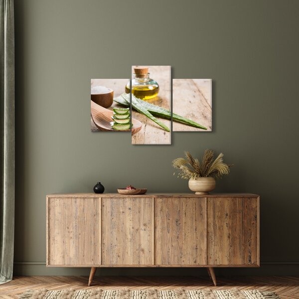 Slika - Aloe vera (90x60 cm)