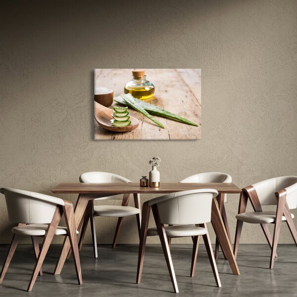 Slika - Aloe vera (90x60 cm)