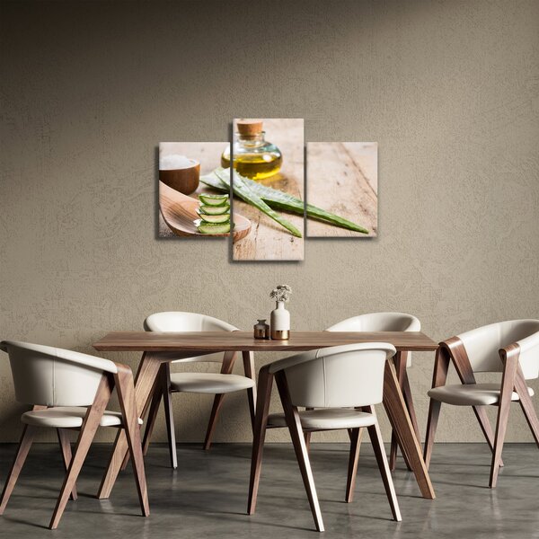 Slika - Aloe vera (90x60 cm)