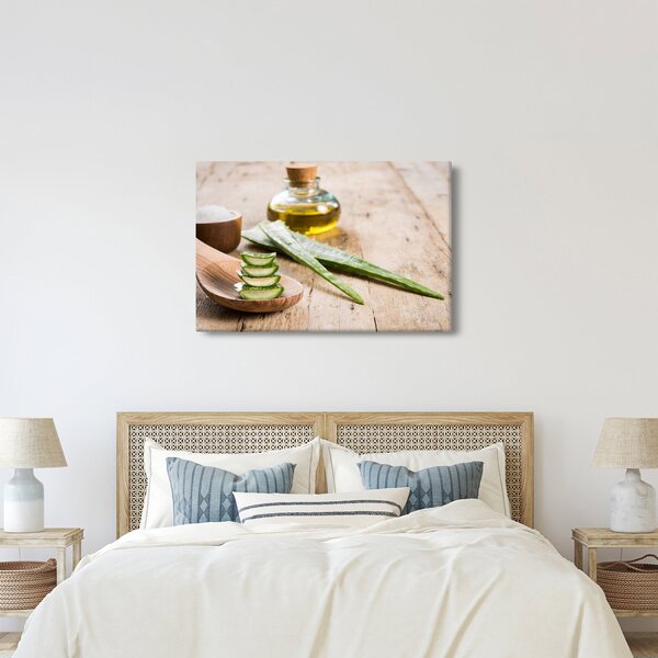 Slika - Aloe vera (90x60 cm)