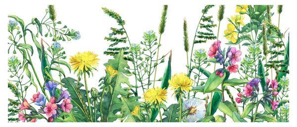 Slika - Slikano livadsko cvijeće (120x50 cm)