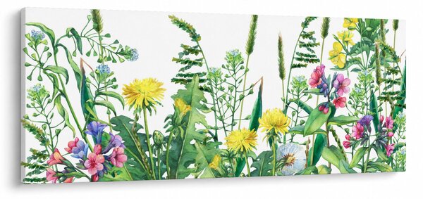 Slika - Slikano livadsko cvijeće (120x50 cm)